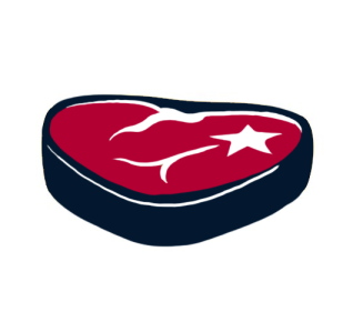 Houston Texans Fat Logo DIY iron on transfer (heat transfer)